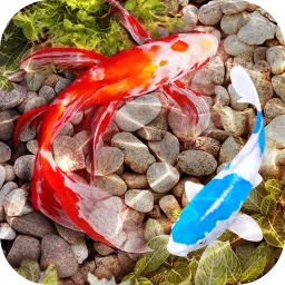 3D Fish Tank Live Wallpaper 图标